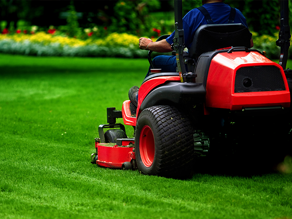 lawn mowing