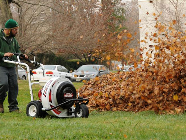 leaf-removal