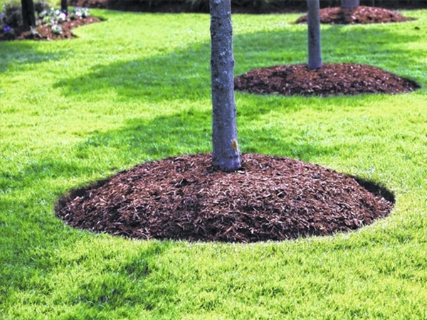 mulching