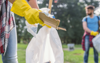 seasonal cleanout services ct