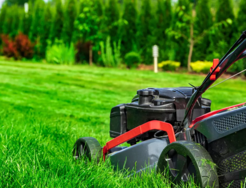 How Lawn Care Services Can Boost Your Home’s Curb Appeal