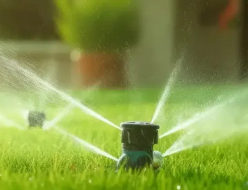 Why Hydroseeding Is the Smartest Lawn Investment for Connecticut Homeowners